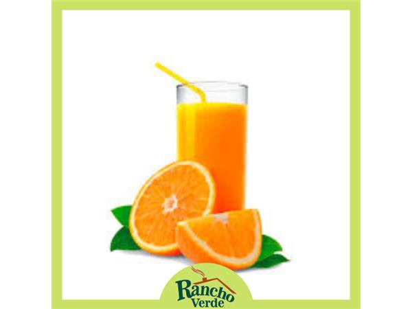 SUCO LARANJA